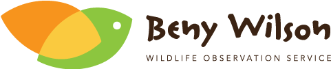 Beny Wilson – Panama Wildlife Tours Specialist